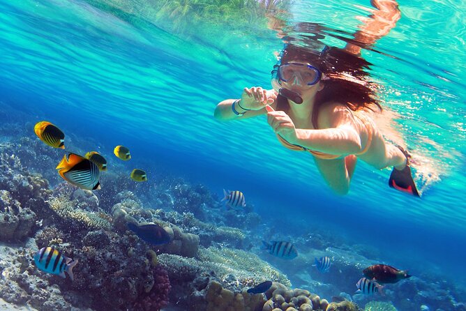 Cozumel Sea Safari Snorkeling Tour - Key things to know before you go