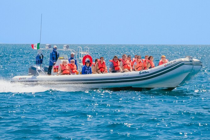 Cozumel Sea Safari Snorkeling Tour - The snorkeling itinerary, reef by reef, and what each stop is like
