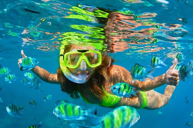 Cozumel Sea Safari Snorkeling Tour - The main tradeoff: snorkeling time feels short for slow swimmers