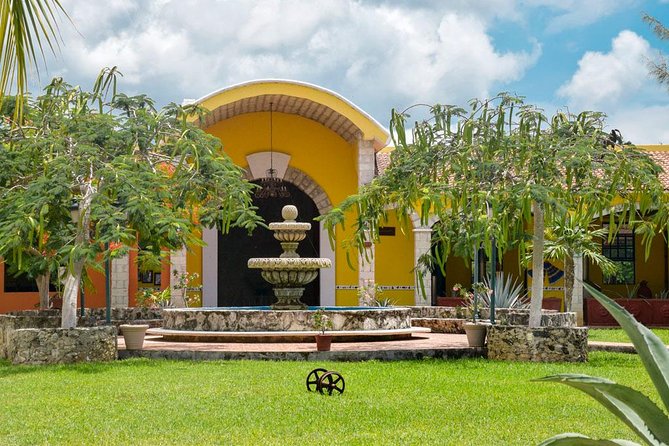 Cozumel Shore Excursion: 5-Hour Sightseeing Tour with Private Driver - Stop 2: Chocolates Kaokao, Bean-to-Bar Lessons You Can Taste