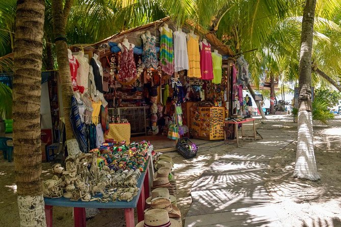 Cozumel Shore Excursion: 5-Hour Sightseeing Tour with Private Driver - San Gervasio Mayan Ruins: The Island’s Most Important Site