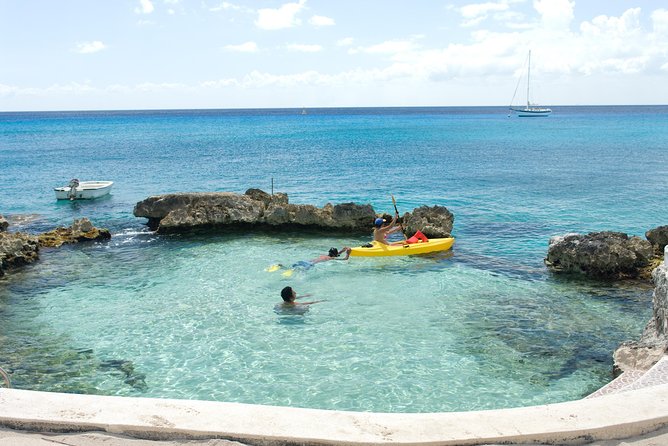 Cozumel Shore Excursion: Mini-SUB Diving Adventure - Marine Life in Cozumel: What You’ll Actually See