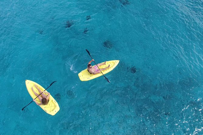 Cozumel Shore Excursion: Playa Uvas Private Beach Pass - Guided snorkeling that actually helps you see the reef