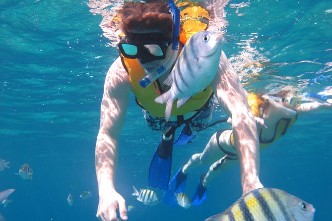 Cozumel Shore Excursion: Playa Uvas Private Beach Pass - Kayak time, when it works, and when the sea calls the shots