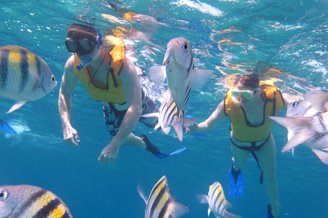 Cozumel Shore Excursion: Playa Uvas Private Beach Pass - Chankanaab National Marine Park access, and how to use it