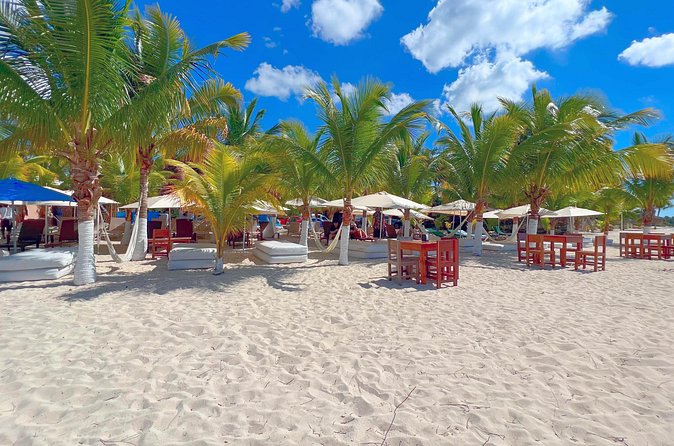 Cozumel: Shore Excursions for Royal Caribbean Cruise Passengers - Guide power on the ground: Elsy and Jesus
