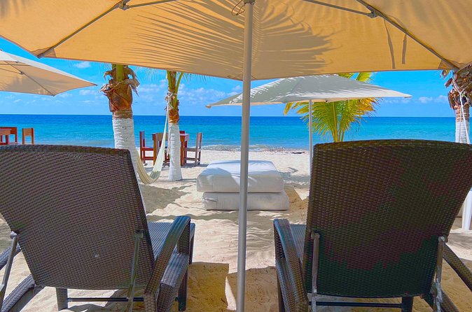 Cozumel: Shore Excursions for Royal Caribbean Cruise Passengers - Should you book this Cozumel shore excursion?
