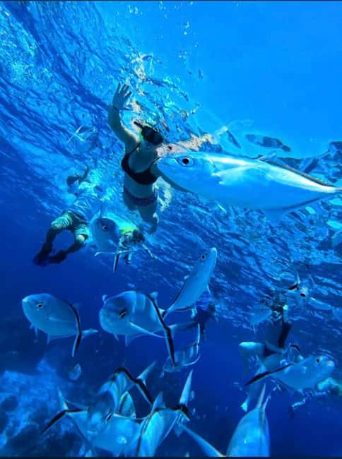 Cozumel: snorkeling on reefs + visit to "El Cielo" - Key things to look forward to