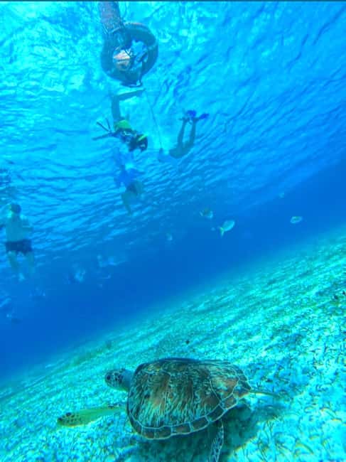 Cozumel: snorkeling on reefs + visit to "El Cielo" - Why Palancar and Columbia plus El Cielo feels like a Cozumel best-of