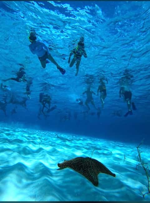 Cozumel: snorkeling on reefs + visit to "El Cielo" - Palancar Reef snorkeling: guided safety, coral tunnels, and first fish hits
