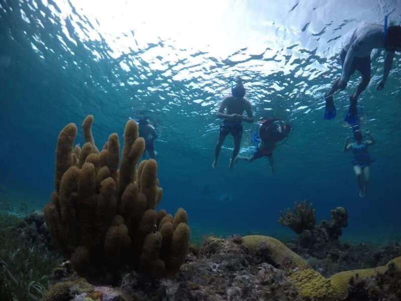 Cozumel: snorkeling on reefs + visit to "El Cielo" - What’s included on the boat, and why the details matter