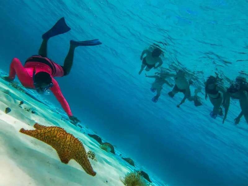 Cozumel: snorkeling on reefs + visit to "El Cielo" - Tips to make your day smoother (and more enjoyable)