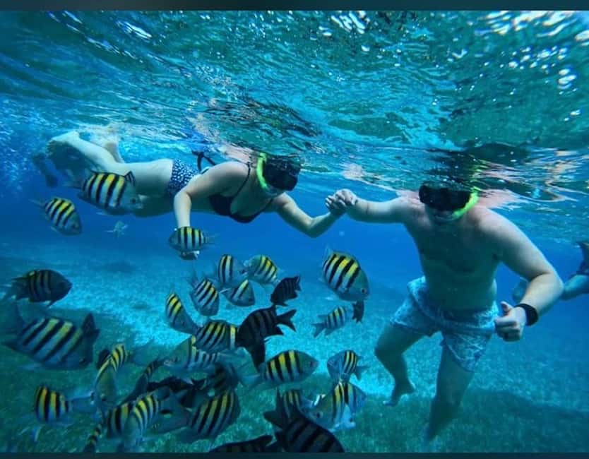 Cozumel: snorkeling on reefs + visit to "El Cielo" - Getting started at Muelle Fiscal, Terminal de Ferrys (Module 6, Paloma)