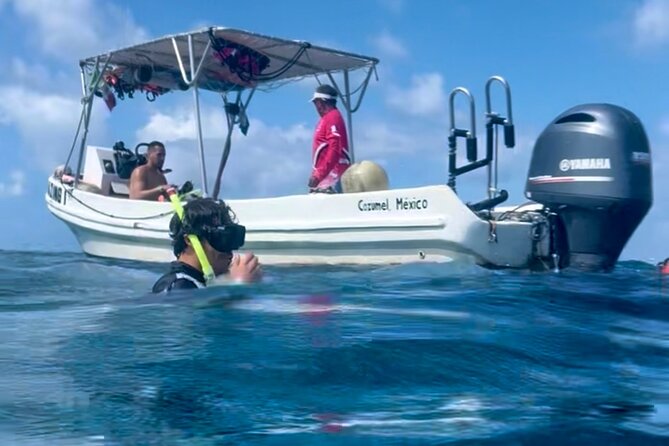 Cozumel Snorkeling Reef Experience with Ceviche and Beers - El Cielo: Starfish Over White Sand in Shallow Clear Water