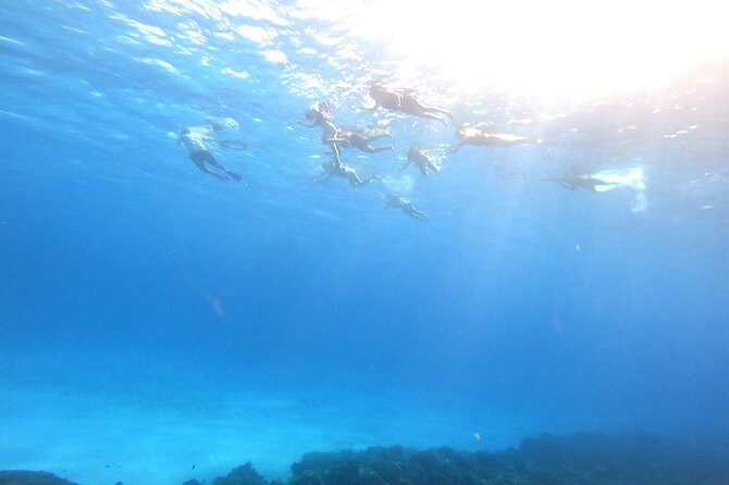 Cozumel Snorkeling Reef Experience with Ceviche and Beers - Marine-Friendly Snorkeling: Sunscreen Is Not Allowed