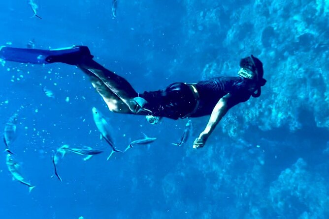 Cozumel Snorkeling Reef Experience with Ceviche and Beers - Lunch on the Water: Fish Ceviche, Totopos, and Beers