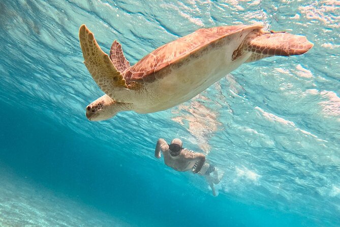 Cozumel: Snorkeling to El Cielo & Cielito with drinks & Snack - Key highlights