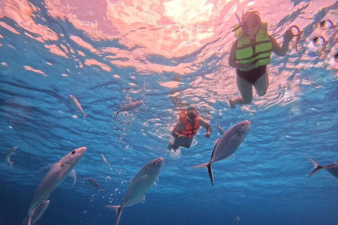 Cozumel: Snorkeling to El Cielo & Cielito with drinks & Snack - A half-day Cozumel route that mixes reef time with sandbar magic