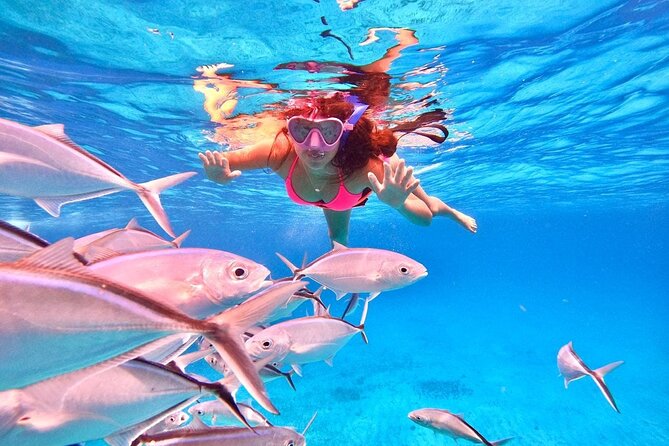 Cozumel: Snorkeling to El Cielo & Cielito with drinks & Snack - Drinks and lunch that actually matter on a snorkeling day