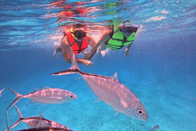 Cozumel: Snorkeling to El Cielo & Cielito with drinks & Snack - Snorkeling gear and guide support you’ll feel right away