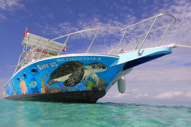 Cozumel Snorkeling Tour at Palancar & Colombia Reefs and El Cielo - Stop 1 at Colombia Reef: clear water and big animal chances