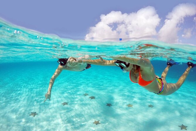 Cozumel snorkeling tour: Palancar, Columbia and El Cielo reefs - Key Takeaways Before You Go