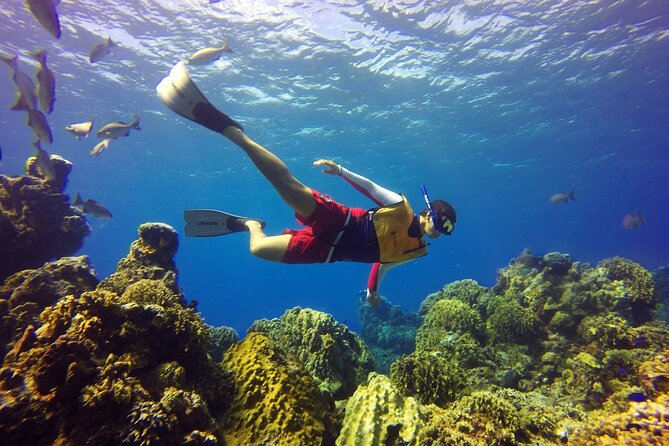 Cozumel snorkeling tour: Palancar, Columbia and El Cielo reefs - Snorkeling Gear and the Value of Being Guided