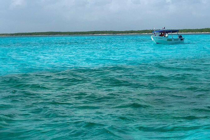 Cozumel snorkeling tour: Palancar, Columbia and El Cielo reefs - What Four Hours 15 Minutes Really Means on This Snorkel Route