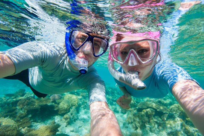 Cozumel Snorkeling Tour to Palancar Reef and El Cielo - Meeting at Snorkel in the Sky, then getting set up fast