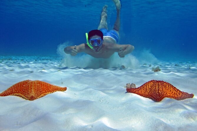 Cozumel Snorkeling Tour to Palancar Reef and El Cielo - Palancar Reef: miles of reef and a wide-open Cozumel feel