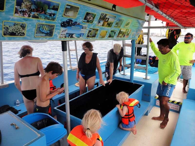 Cozumel: VIP Glass Bottom Boat & Snorkeling 3 Reefs Tour - What you’ll actually do, from gear to the reef loop