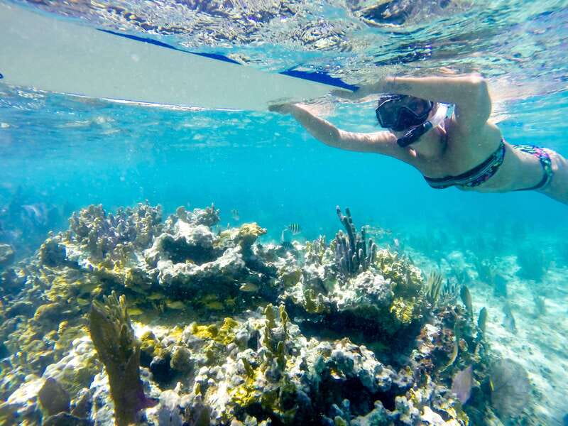 Cozumel: West Coast E-Bike and Snorkeling Tour - Where You Meet on Calle 5 Sur and 5th Av