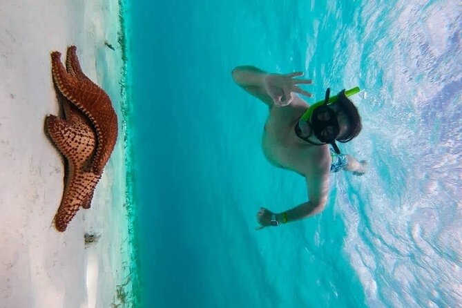 Crystal blue cozumel awaits you - Key takeaways before you go to Punta Sur in Cozumel