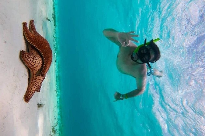 Crystal blue cozumel awaits you - The private island tour by Diego’s Paradise Tours and Travel
