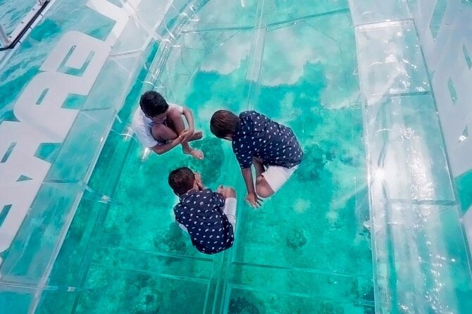 Crystal Boat Tour to San Miguel de Cozumel with Snorkeling - Transparent Boat Viewing: Seeing Marine Life Without Committing Fully