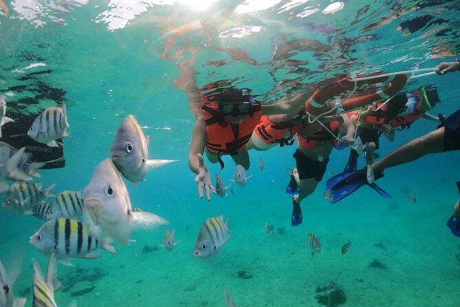 Crystal Boat Tour to San Miguel de Cozumel with Snorkeling - Small Group Energy and On-Time Feel