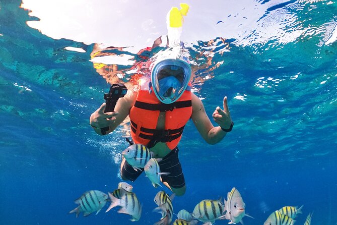 Crystal Boat Tour with Snorkeling and Drinks in Cozumel - Drinks and Value: The Beer-Plus-Water Touch That Makes It Feel Easy