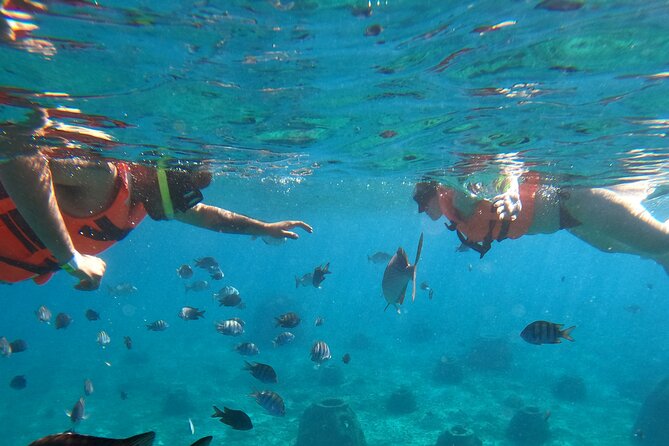 Crystal Boat Tour with Snorkeling and Drinks in Cozumel - Weather, Rescheduling, and How to Stay Flexible