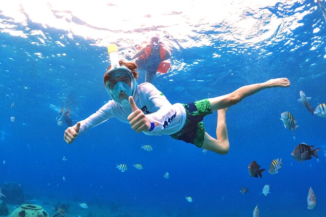 Crystal Boat Tour with Snorkeling and Drinks in Cozumel - Who This Cozumel Clear-Boat Snorkel Tour Fits Best