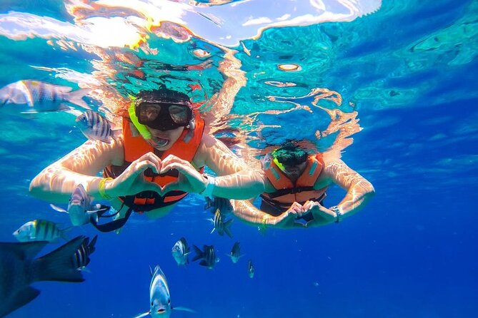 Crystal Boat Trip and Snorkeling Tour from Cozumel - Crystal Boat to Shipwrecks: What This Tour Really Delivers