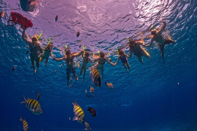 Crystal Boat Trip and Snorkeling Tour from Cozumel - Stop 1 in Cozumel: Sunken-Ship Silhouettes From the Clear Boat