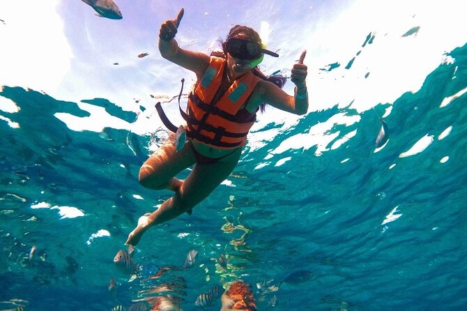 Crystal-clear Boat trip & Snorkeling tour - Who this tour suits best on a Cozumel visit