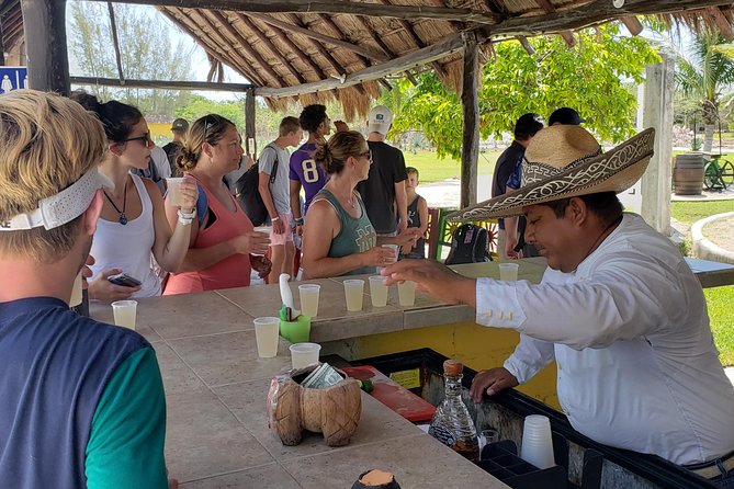 Customizable Private Buggy Tour in Cozumel with Lunch and Snorkel - Price and value: $79 for a 5-hour private day that includes the money stops