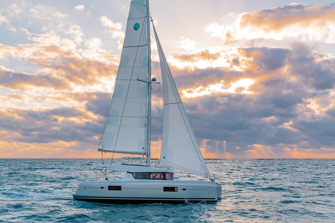 Deluxe Private Boats - 40 ft Catamaran - The in-water experience at Palancar Reef: less crowd, more fish time