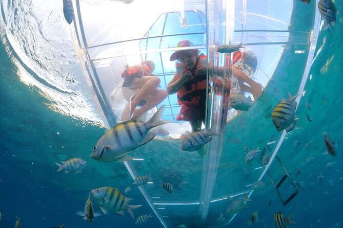 Discover Cozumel in a Transparent Boat! - Key highlights to know before you go