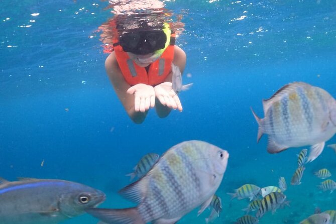 Discover Cozumel in a Transparent Boat! - Meeting Point at Nudo Marineri, Plaza Villa Mar: How to Avoid Wasted Minutes