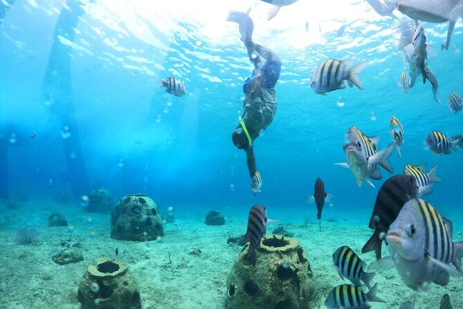Discover Cozumel in a Transparent Boat! - What to Bring (and What to Think About Before You Board)