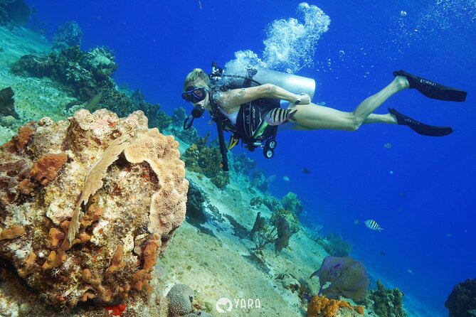 Discover Scuba Diving - What Could Go Wrong, and How to Reduce Your Risk of a Shorter Session