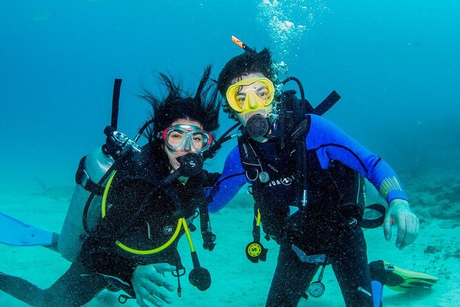 Discover Scuba Diving at Cozumel Marine Park - Cozumel marine life, taught in a calm, structured way