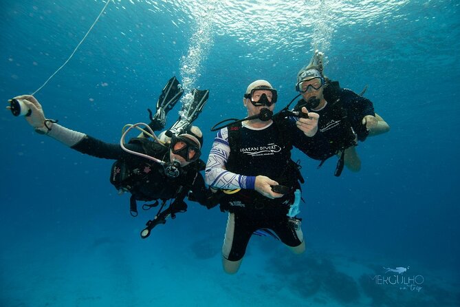 Discover Scuba Diving in Cozumel - Shore Entry and Waves: The Real-World Part of Cozumel Scuba Experiences